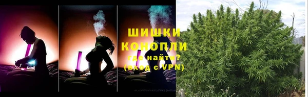 прущие крисы Богданович