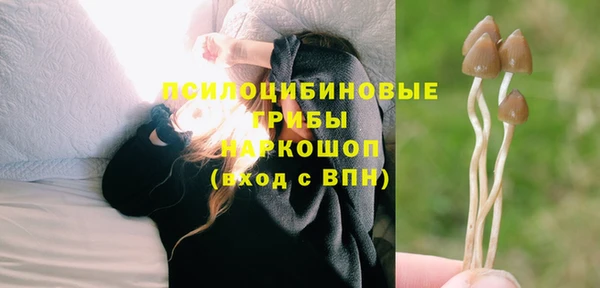 марки lsd Богородицк