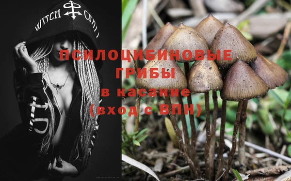 прущие крисы Богданович