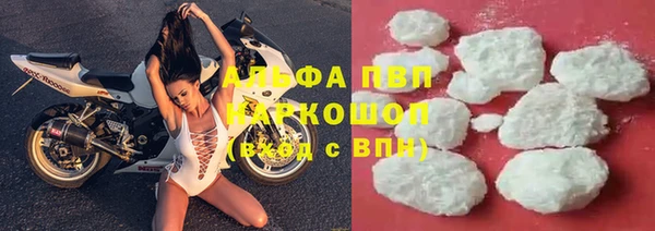 сатива Богородск
