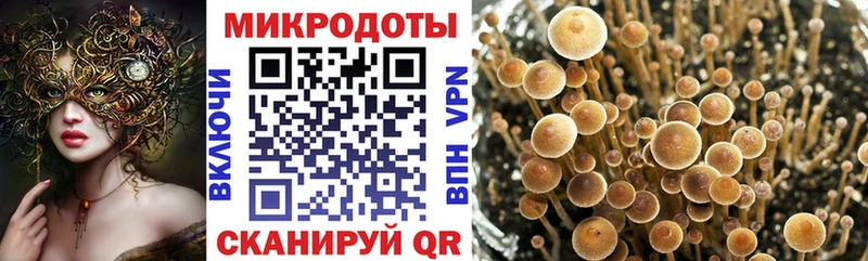 наркошоп  Колпашево  mega зеркало  Псилоцибиновые грибы мухоморы 